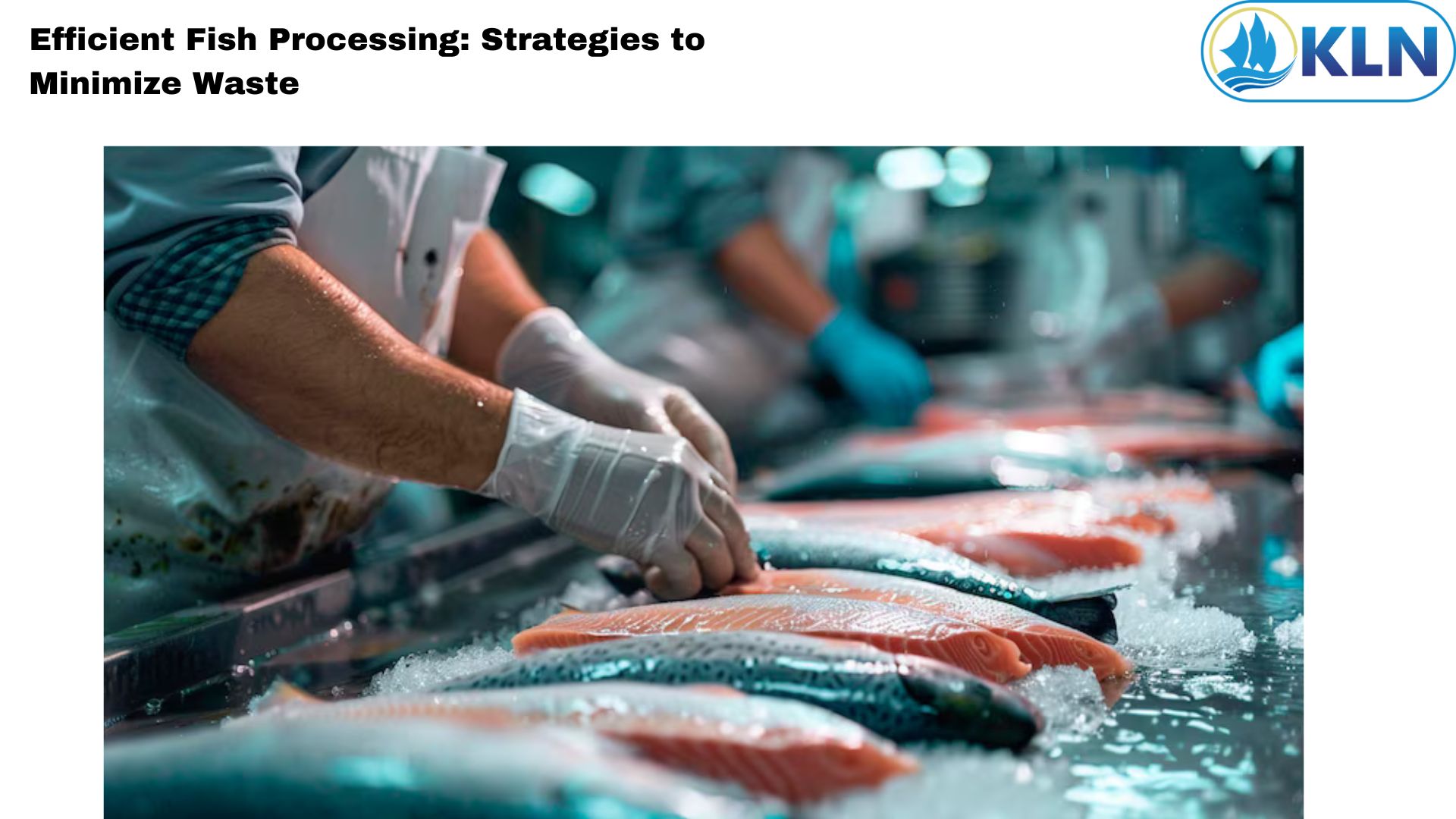 Efficient Fish Processing: Strategies to Minimize Waste